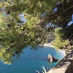 Acciuga مونتيروسّو ال ماري