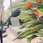 Apartment Acciuga Monterosso al Mare