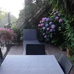 Acciuga