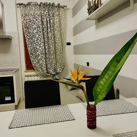 Apartment Acciuga