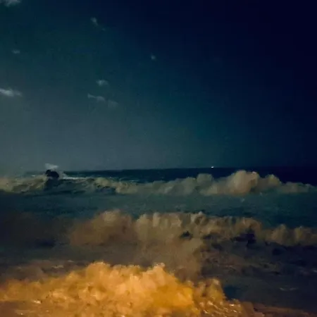 Acciuga Apartamento *