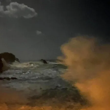 Acciuga Apartamento *