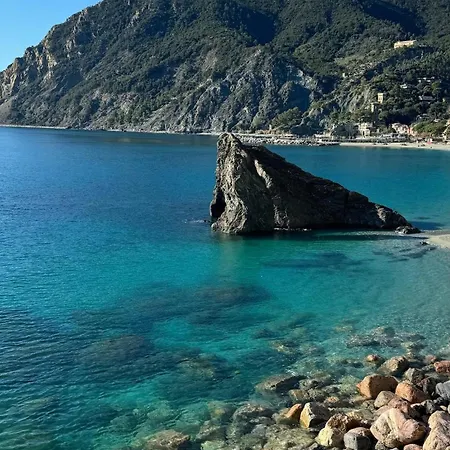 Apartman Acciuga