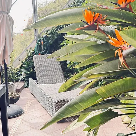 Apartman Acciuga Monterosso al Mare