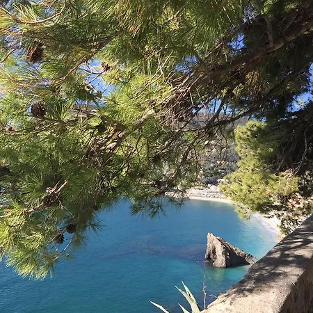 Acciuga Monterosso al Mare