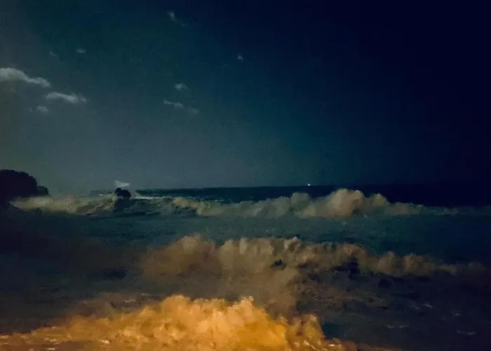 Acciuga Appartement *