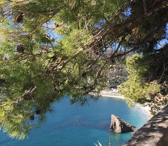 Acciuga Monterosso al Mare
